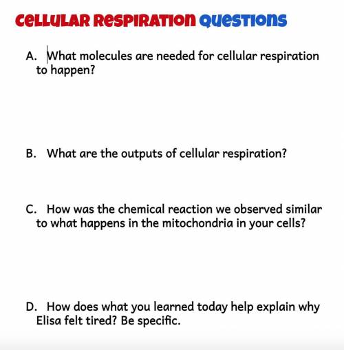Please help: These questions are in our metabolism unit. I would really love it if somebody answers