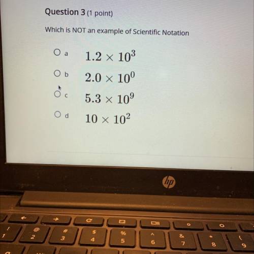 Please help this test is timed!