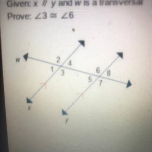 Given: x // y and w is a transversal
Prove: 36 / 6