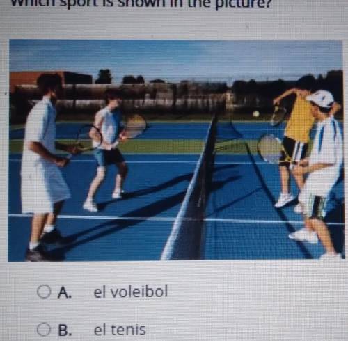 Select the correct answer Which sport is shown in the picture?

A. el voleibol  B. el tenis c. el