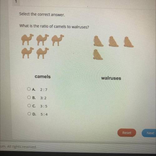 What is the ratio of camels to walruses?

camels
walruses
OA
2:7
OB
3:2
Ос.
3:5
OD. 5:4