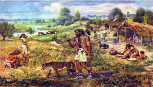 Based on this photo and your own knowledge of the Paleolithic era, what are some ways that humans