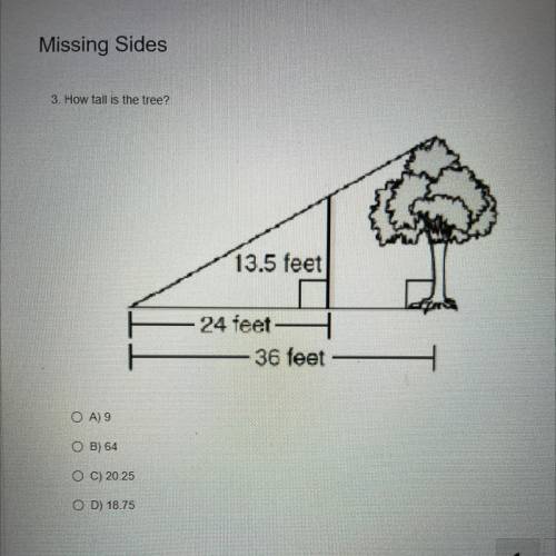3. How tall is the tree?

 13.5 feet
24 feet -
- 36 feet
OA) 9
O B) 64
O C) 20.25
OD) 18.75