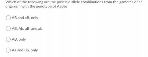 PLEAE HELP IF YOU'RE GOOD WITH GENETICS OR PROBABILITY