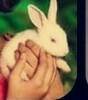 Rabbit in my hands.... sooo cute