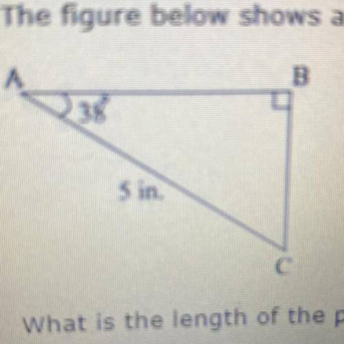 10. (07.01 LC)

The figure below shows a triangular piece of cloth:
What is the length of the port