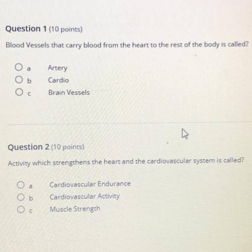 What is blood vessels that carry blood from the heart to the rest of the body called?