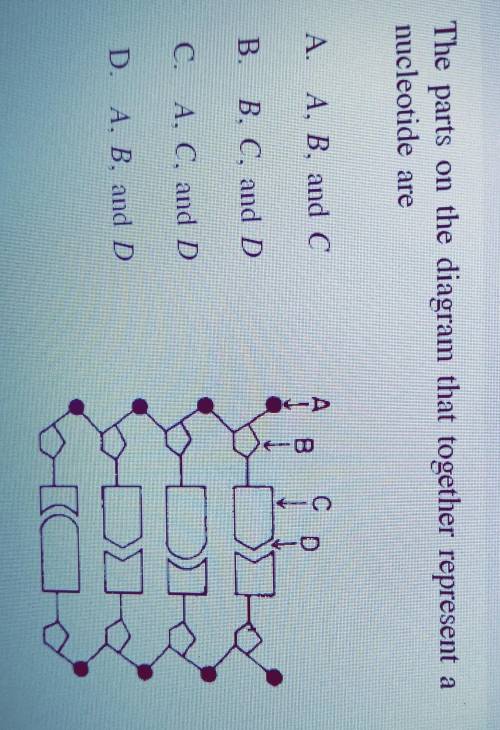 Please answer if you don't know the answer please don't answer it just to get points...