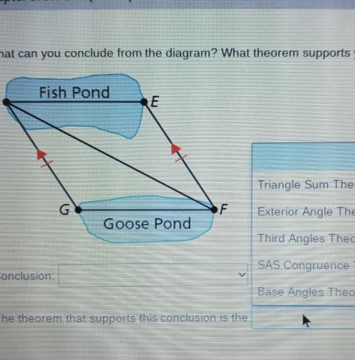 What can you conclude from the diagram? What theorem supports your conclusion? please help I need t