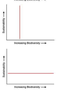 Which graph best represents the relationship between sustainability and biodiversity?