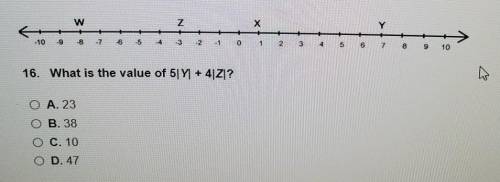 16. What is the value of 5|Y1 + 4|Z|? O A. 23 O B. 38 O C. 10 O D. 47