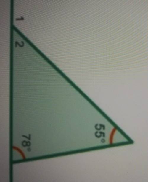 What is the measure of angle 1?plz help I will mark