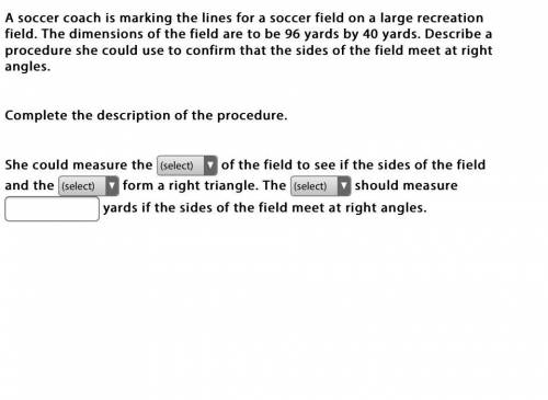 A soccer coach is marking the lines for a soccer field on a large recreation field. The dimensions