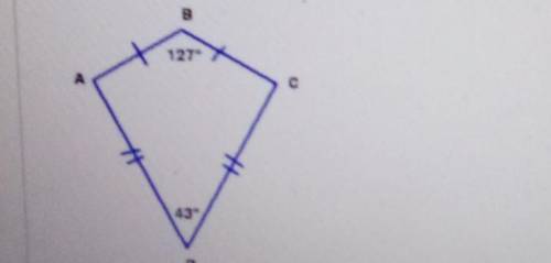 Quadrilateral ABCD is a kite. Find the measure of angle BCD. B 127 43
