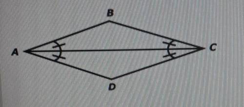 PLEASE PLEASE HELP ME!!

Triangles ABC and ADC are shown below. Paul claims that triangles ABC and