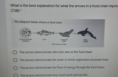 What is the best explanation for what the arrows in a food chain represent?