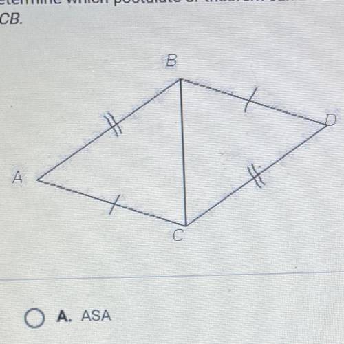 Determine which postulate or theorem can be used to prove that AABC=A

DCB.
O A. ASA
O B. AAS
O C.