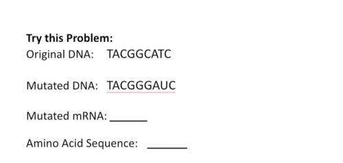 Find the mutated mRNA and Amino Acid Sequence