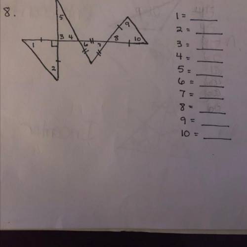Find the angle measures