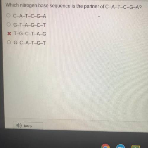 Which nitrogen base sequence is the partner of O C-A-T-C-G-A?

O C-A-T-C-G-A
O G-T-A-G-C-T
O (wron