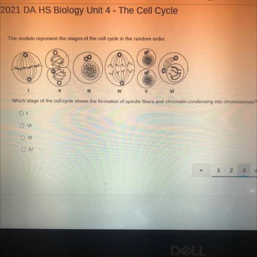 GUYS PLEASE HELP

The models represent the stages of the cell cycle in the random order.
in
M