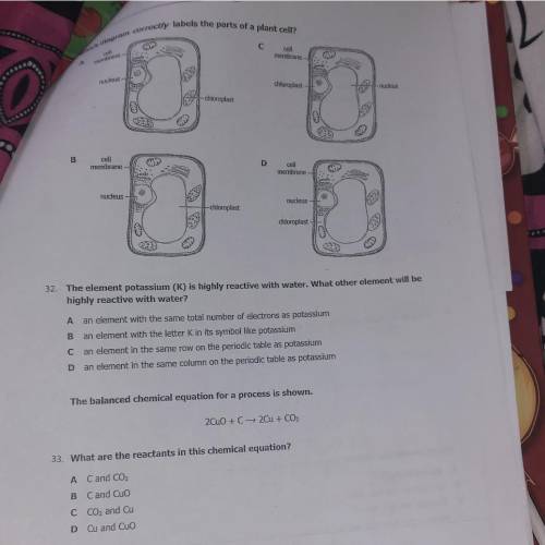 NEED HELP ON 31,32,33..ONLY IF YOU KNOW PLEASE