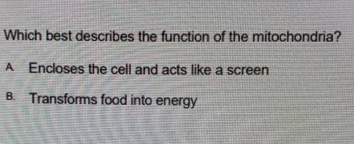 Which best describes the function of the mitochondria ?
