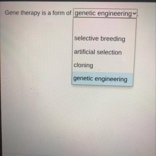 Gene therapy is a form of _____

Selective breeding
Artificial selection
Cloning
Genetic engineeri