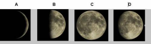 You are given a model of various phases of the moon, as shown below. You can tell right away that i