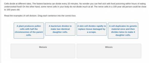 Cells divide at different rates. The fastest bacteria can divide every 20 minutes. No wonder you ca