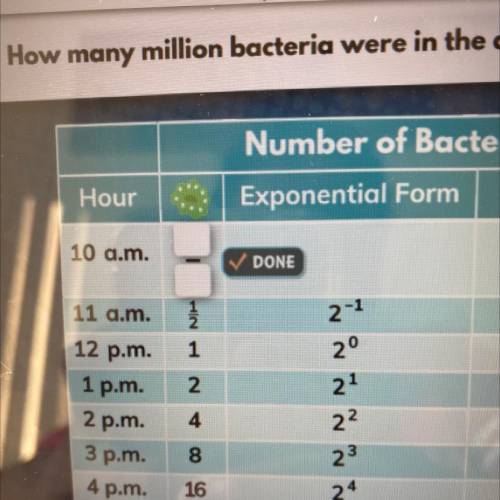 How many million bacteria were in the dish at 10 a.m?