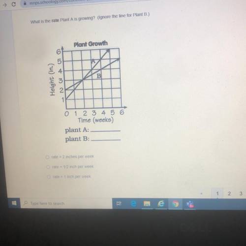 Help please this is an exam