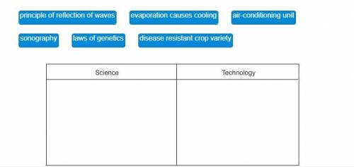 Classify each item as an example of science or technology.