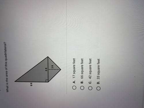What is the area of this quadrilateral