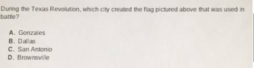 3. During the Texas Revolution, which city created the flag pictured above that was used in

battl