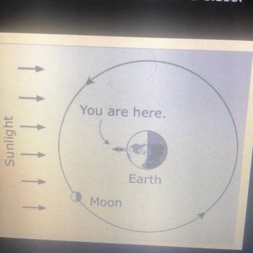 A student shows a model of Earth and the moon to a class

Which picture shows how the moon appears