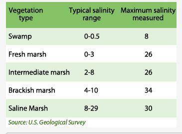 The table below shows salinity tests from coastal Louisiana following a salt water influx during hu
