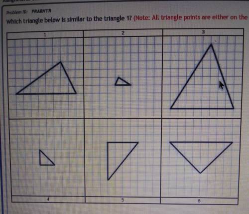 Which triangle below is similar to the triangle 1?