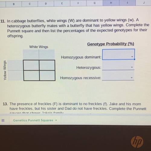 Can someone help me with this question dealing with square punnett/ genetics?

I need the punnett