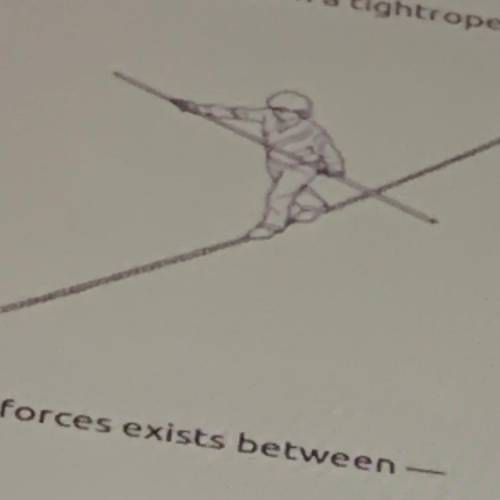 The picture shows an aerialist walking on a tightrope and holding a balancing bar. An action-reacti