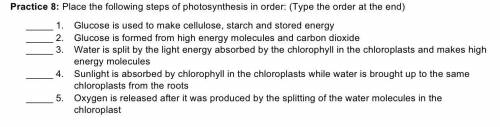 I need help getting the steps of photosynthesis in order