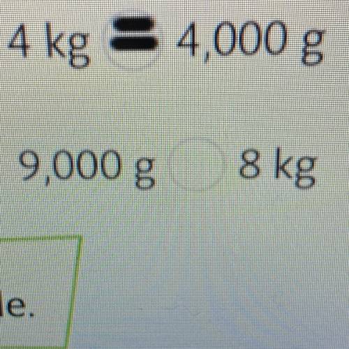 What is greater 9,000 g or 8 kg
