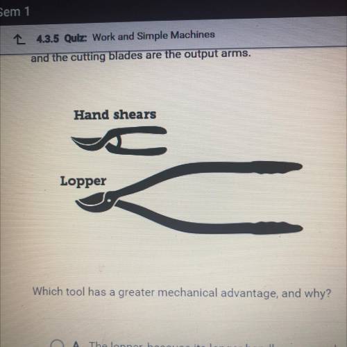 Which tool has a greater mechanical advantage, and why?

OA. The lopper, because its longer handle