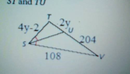 PLEASE HELP 30 points
Find the length of each segment
ST and TU
