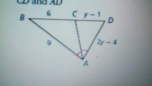 PLEASE HELP 30 points
Find the length of each segment
CD and AD