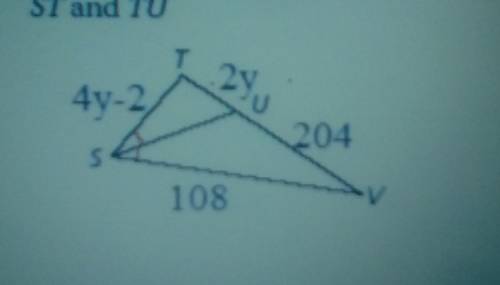 PLEASE HELP 30 points
Find the length of each segment
ST and TU