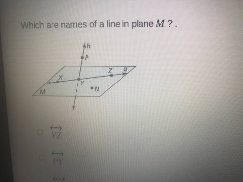 What are names of a line in plane m