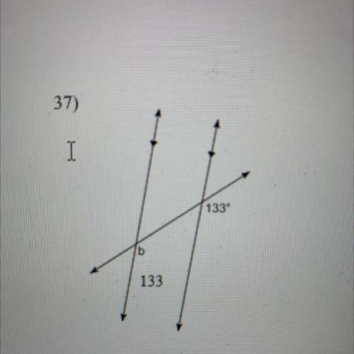 Find the measurement of angle b