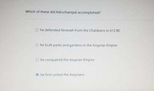 HEY GUYS PLEASE HELP MEEEE WHICH OF THESE DID ASHURBANIPAL ACCOMPLISHED????
