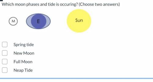 ILL MARK YOU BRAINLIEST IF CORRECT PLEASE HURYRYRYRYRYR

Which moon phases and tide is occuring? (